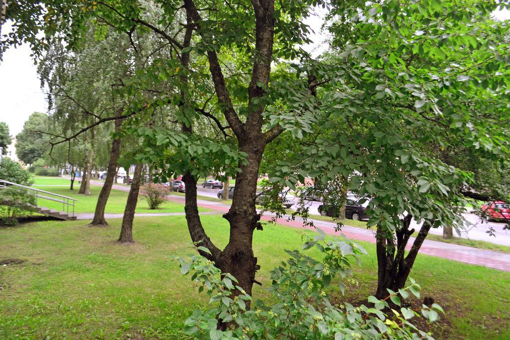 Siauliai City Apartment Eksteriør bilde